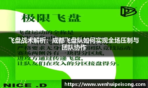 星空xingkong官方网站
